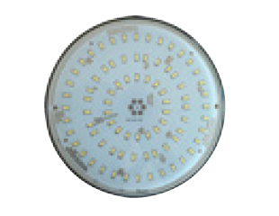 Bombilla LED Par56 delgada Bluezone