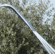 Canhão de água Tahiti