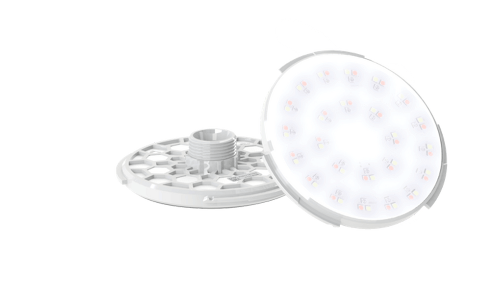 Lâmpadas VISION SPECTRA