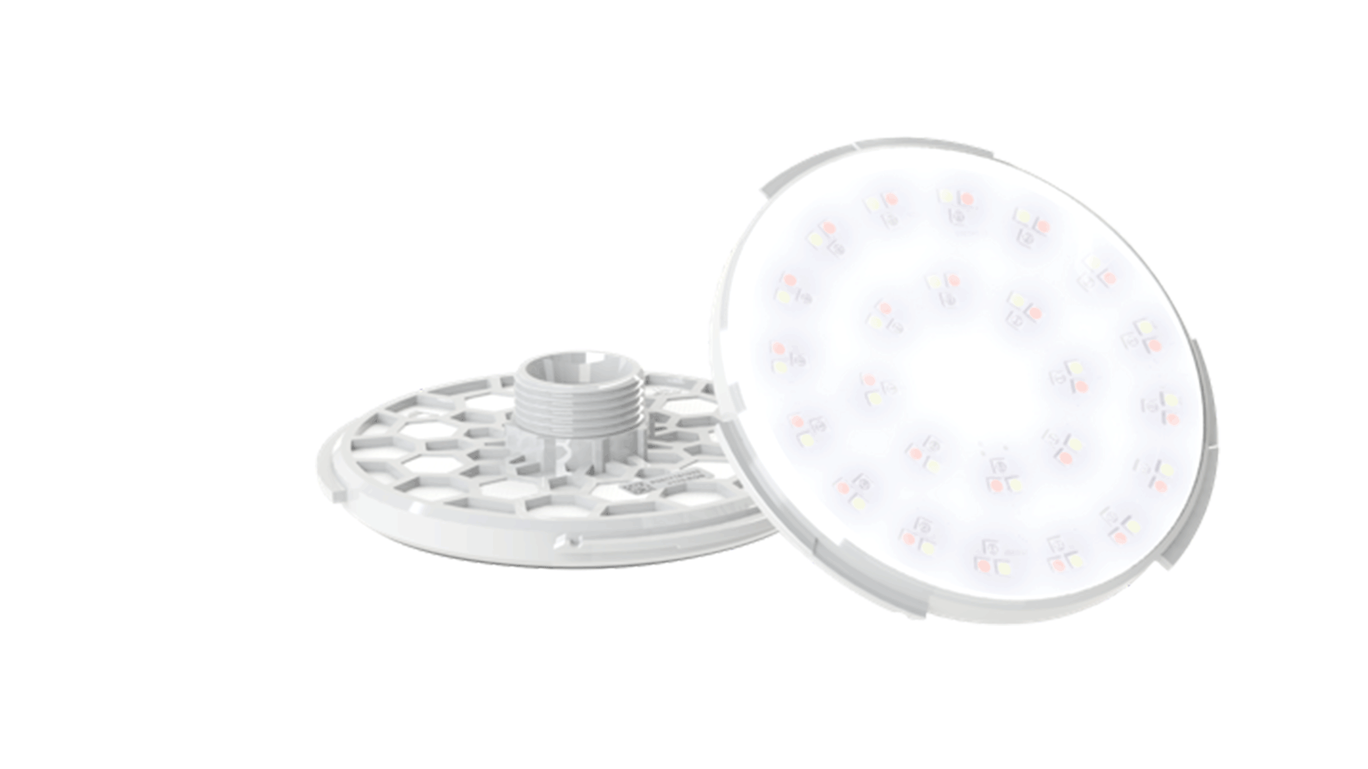 Lâmpadas VISION SPECTRA